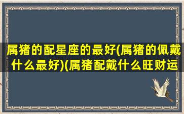 属猪的配星座的最好(属猪的佩戴什么最好)(属猪配戴什么旺财运)