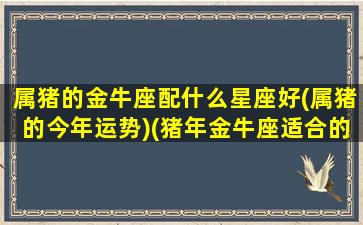 属猪的金牛座配什么星座好(属猪的今年运势)(猪年金牛座适合的配偶)