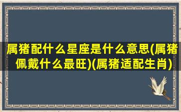 属猪配什么星座是什么意思(属猪佩戴什么最旺)(属猪适配生肖)