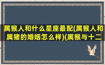 属猴人和什么星座最配(属猴人和属猪的婚姻怎么样)(属猴与十二星座)