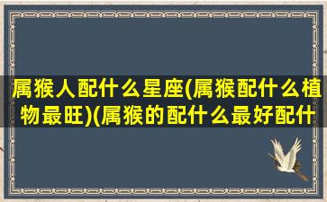 属猴人配什么星座(属猴配什么植物最旺)(属猴的配什么最好配什么最不好)