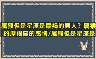 属猴但是星座是摩羯的男人？属猴的摩羯座的感情/属猴但是星座是摩羯的男人？属猴的摩羯座的感情-我的网站