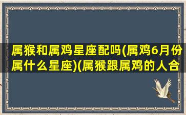 属猴和属鸡星座配吗(属鸡6月份属什么星座)(属猴跟属鸡的人合得来吗)