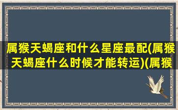 属猴天蝎座和什么星座最配(属猴天蝎座什么时候才能转运)(属猴天蝎座女最佳配偶)