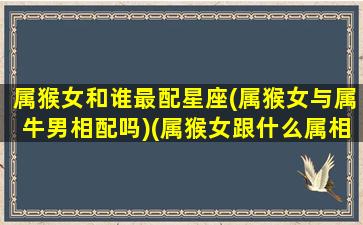 属猴女和谁最配星座(属猴女与属牛男相配吗)(属猴女跟什么属相的合适吗)