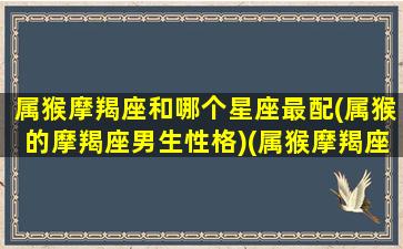 属猴摩羯座和哪个星座最配(属猴的摩羯座男生性格)(属猴摩羯座男性格分析)