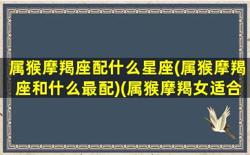 属猴摩羯座配什么星座(属猴摩羯座和什么最配)(属猴摩羯女适合什么样的男人)