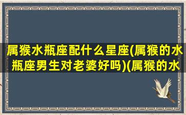 属猴水瓶座配什么星座(属猴的水瓶座男生对老婆好吗)(属猴的水瓶座的婚姻)