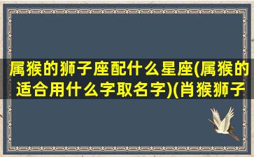 属猴的狮子座配什么星座(属猴的适合用什么字取名字)(肖猴狮子座)