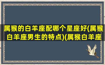 属猴的白羊座配哪个星座好(属猴白羊座男生的特点)(属猴白羊座男生的性格特点)