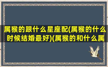 属猴的跟什么星座配(属猴的什么时候结婚最好)(属猴的和什么属相合适结婚)