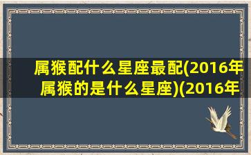 属猴配什么星座最配(2016年属猴的是什么星座)(2016年属猴好不好)