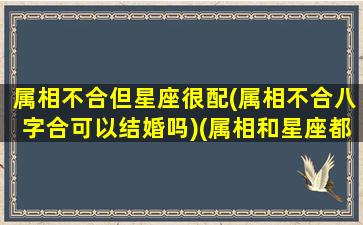 属相不合但星座很配(属相不合八字合可以结婚吗)(属相和星座都不配)