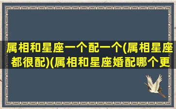 属相和星座一个配一个(属相星座都很配)(属相和星座婚配哪个更重要)