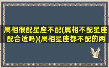 属相很配星座不配(属相不配星座配合适吗)(属相星座都不配的两个人能幸福吗)