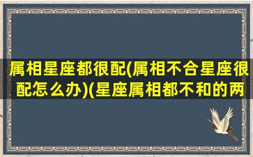 属相星座都很配(属相不合星座很配怎么办)(星座属相都不和的两个人走到一块会怎样)