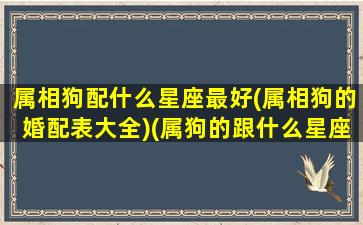 属相狗配什么星座最好(属相狗的婚配表大全)(属狗的跟什么星座关系最好)