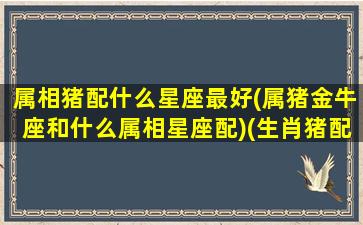 属相猪配什么星座最好(属猪金牛座和什么属相星座配)(生肖猪配什么属相)