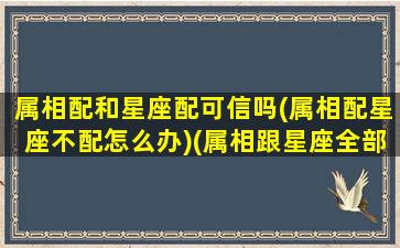 属相配和星座配可信吗(属相配星座不配怎么办)(属相跟星座全部都配对的两个人)