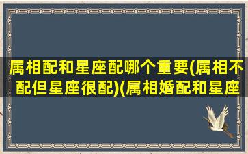 属相配和星座配哪个重要(属相不配但星座很配)(属相婚配和星座配冲突吗)