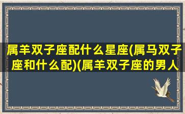 属羊双子座配什么星座(属马双子座和什么配)(属羊双子座的男人性格)