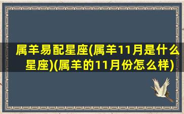 属羊易配星座(属羊11月是什么星座)(属羊的11月份怎么样)