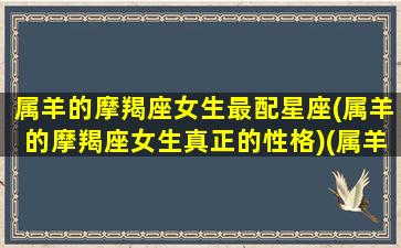 属羊的摩羯座女生最配星座(属羊的摩羯座女生真正的性格)(属羊摩羯女的爱情运势)