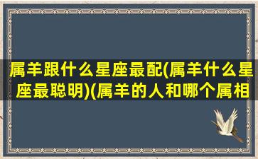 属羊跟什么星座最配(属羊什么星座最聪明)(属羊的人和哪个属相最配)