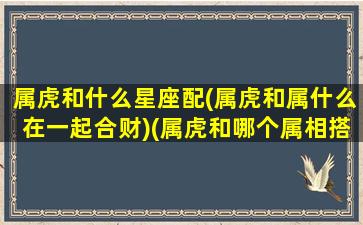 属虎和什么星座配(属虎和属什么在一起合财)(属虎和哪个属相搭配)