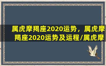 属虎摩羯座2020运势，属虎摩羯座2020运势及运程/属虎摩羯座2020运势，属虎摩羯座2020运势及运程-我的网站