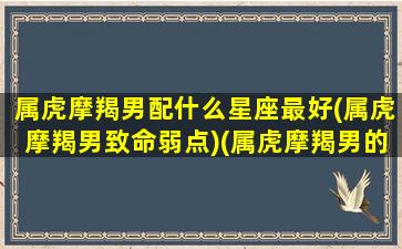 属虎摩羯男配什么星座最好(属虎摩羯男致命弱点)(属虎摩羯男的爱情观)