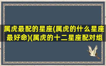 属虎最配的星座(属虎的什么星座最好命)(属虎的十二星座配对组合)