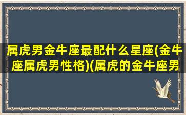 属虎男金牛座最配什么星座(金牛座属虎男性格)(属虎的金牛座男喜欢什么女人)