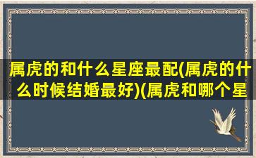 属虎的和什么星座最配(属虎的什么时候结婚最好)(属虎和哪个星座配)