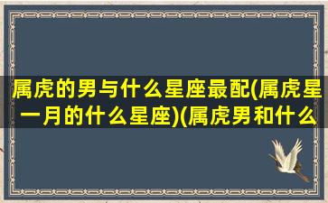 属虎的男与什么星座最配(属虎星一月的什么星座)(属虎男和什么属相配为上上等婚)