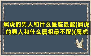 属虎的男人和什么星座最配(属虎的男人和什么属相最不配)(属虎的男人和什么属相合)