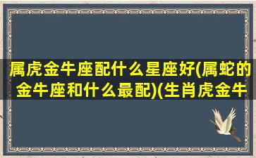 属虎金牛座配什么星座好(属蛇的金牛座和什么最配)(生肖虎金牛座)