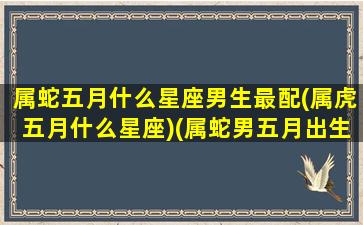 属蛇五月什么星座男生最配(属虎五月什么星座)(属蛇男五月出生的人命运)