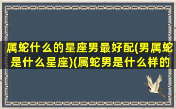 属蛇什么的星座男最好配(男属蛇是什么星座)(属蛇男是什么样的人)