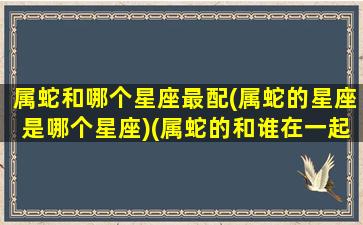 属蛇和哪个星座最配(属蛇的星座是哪个星座)(属蛇的和谁在一起最佳)