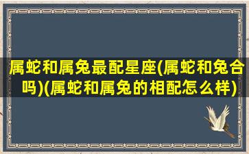 属蛇和属兔最配星座(属蛇和兔合吗)(属蛇和属兔的相配怎么样)