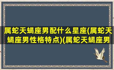 属蛇天蝎座男配什么星座(属蛇天蝎座男性格特点)(属蛇天蝎座男感情特点)