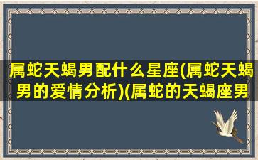 属蛇天蝎男配什么星座(属蛇天蝎男的爱情分析)(属蛇的天蝎座男人对待感情)