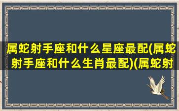 属蛇射手座和什么星座最配(属蛇射手座和什么生肖最配)(属蛇射手女跟什么最配)