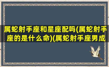 属蛇射手座和星座配吗(属蛇射手座的是什么命)(属蛇射手座男成熟吗)