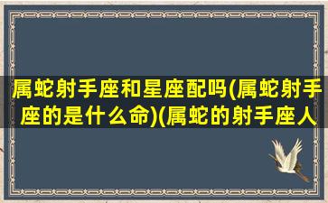 属蛇射手座和星座配吗(属蛇射手座的是什么命)(属蛇的射手座人品怎么样)