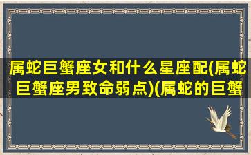 属蛇巨蟹座女和什么星座配(属蛇巨蟹座男致命弱点)(属蛇的巨蟹女专一吗)