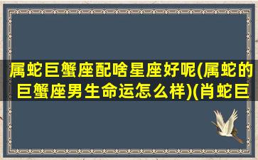 属蛇巨蟹座配啥星座好呢(属蛇的巨蟹座男生命运怎么样)(肖蛇巨蟹座)