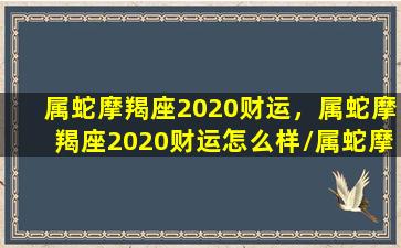 属蛇摩羯座2020财运，属蛇摩羯座2020财运怎么样/属蛇摩羯座2020财运，属蛇摩羯座2020财运怎么样-我的网站