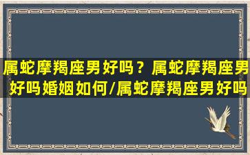 属蛇摩羯座男好吗？属蛇摩羯座男好吗婚姻如何/属蛇摩羯座男好吗？属蛇摩羯座男好吗婚姻如何-我的网站